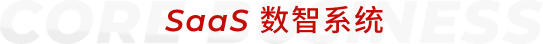 SaaS数智系统